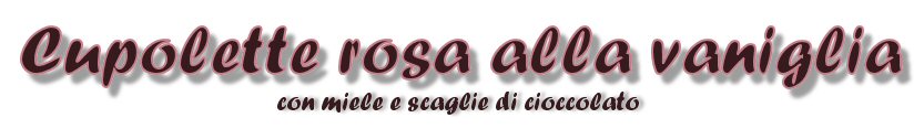 TITOLO: cupolette rosa alla vaniglia con miele e scaglie di cioccolato